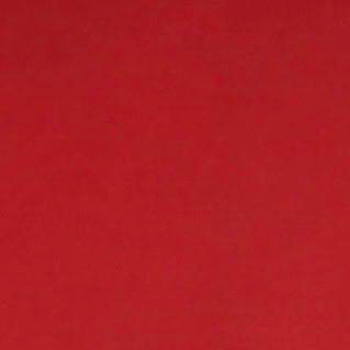 毎日！飲まないとやってられん！