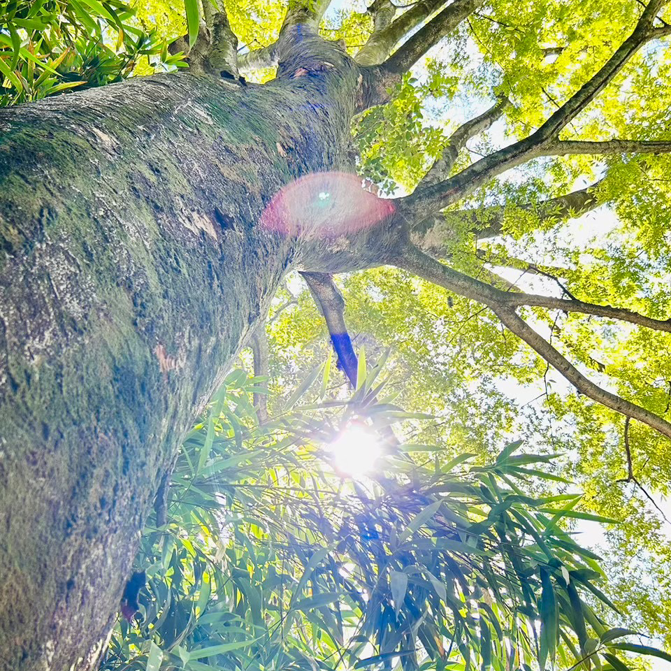 微妙だけど、気になる🤔