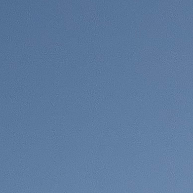 シースルーマッシュ