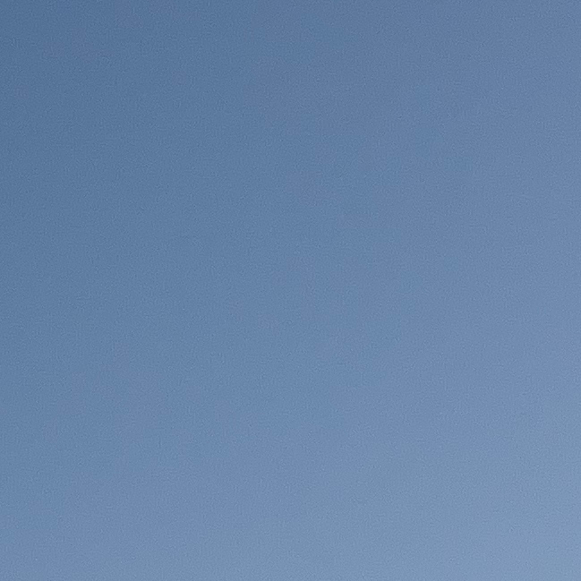 ナチュラルマッシュ