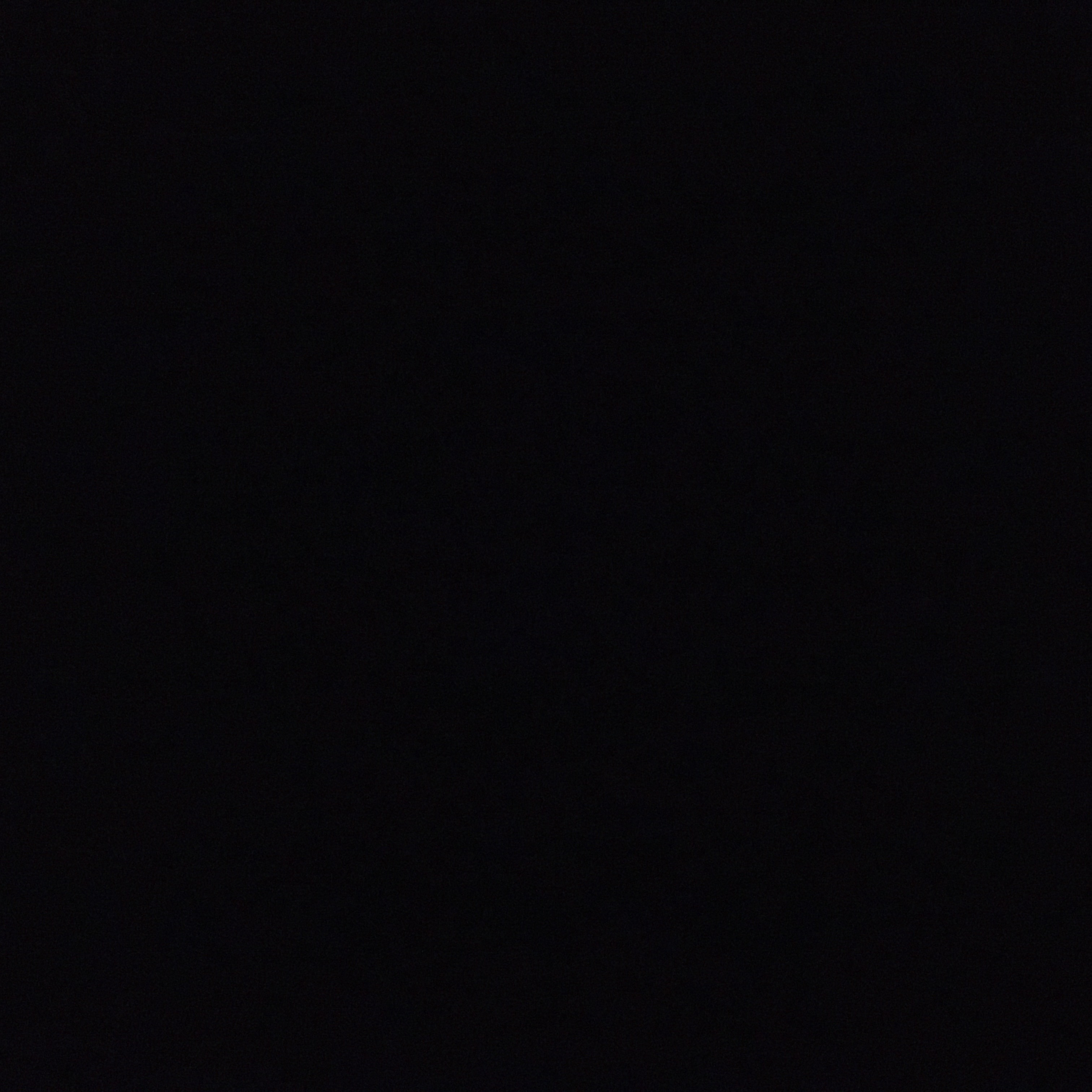 ネガティブなやつ