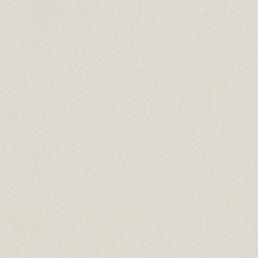 女性の方：指名しない