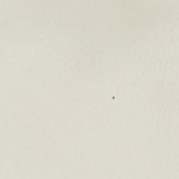 男性の方：指名する