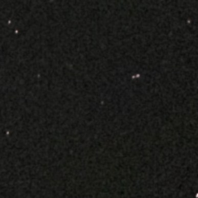 普通。頻度は低い。