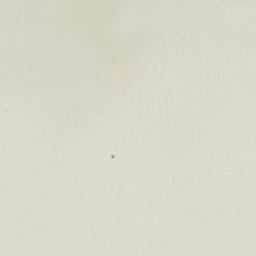 男性の方：指名しない