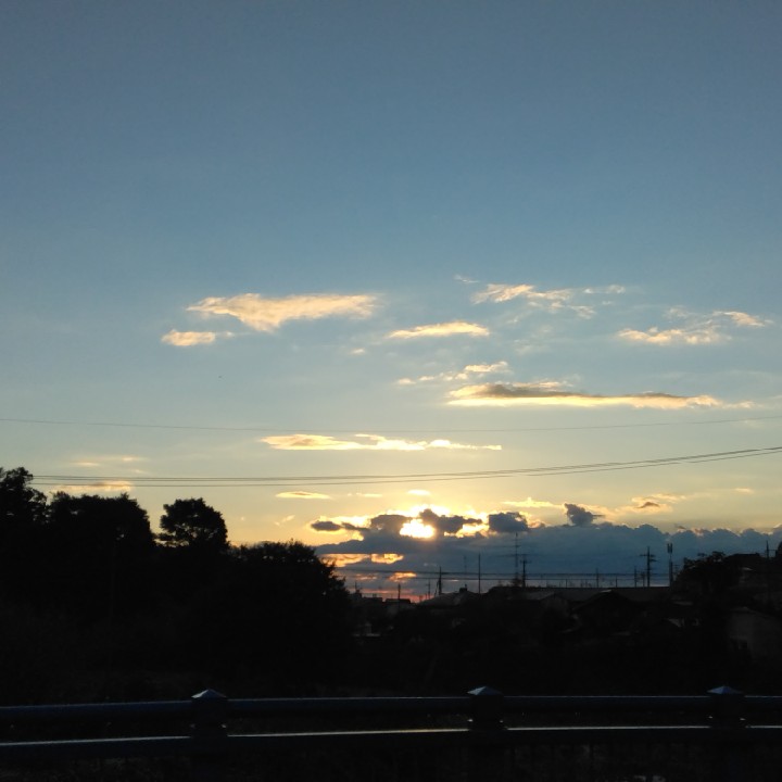 朝、夕方の紅葉