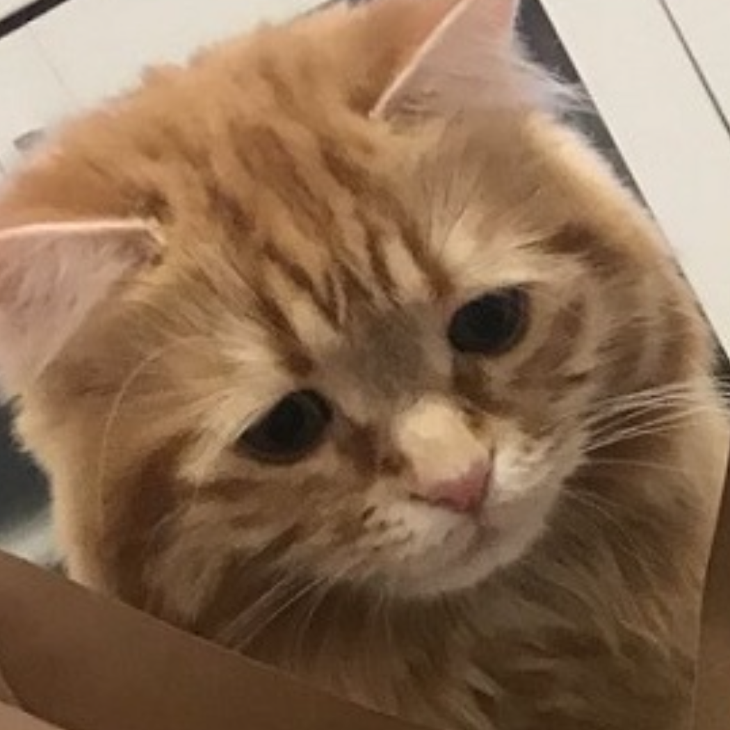 どっちでもいい