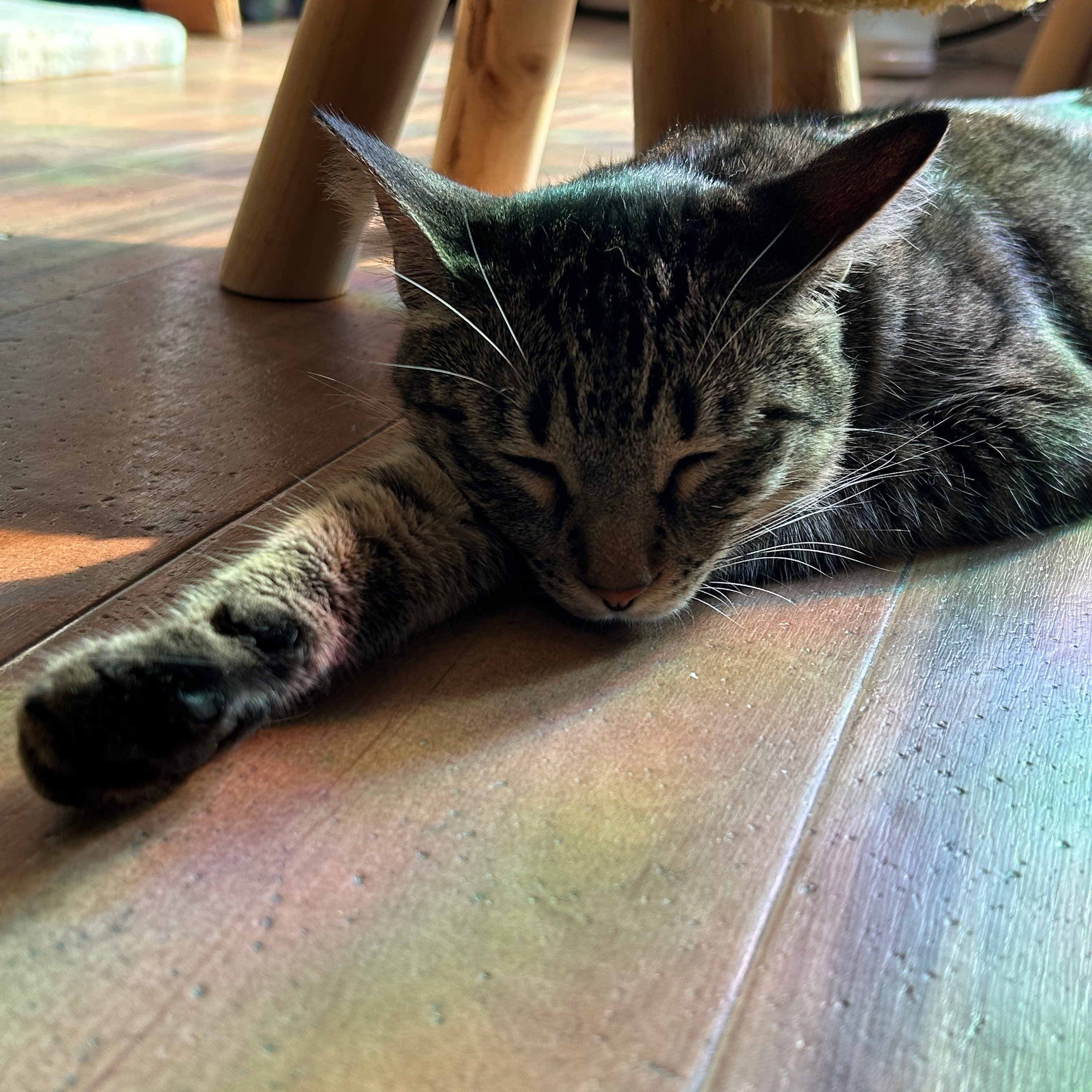 しなくてもいい