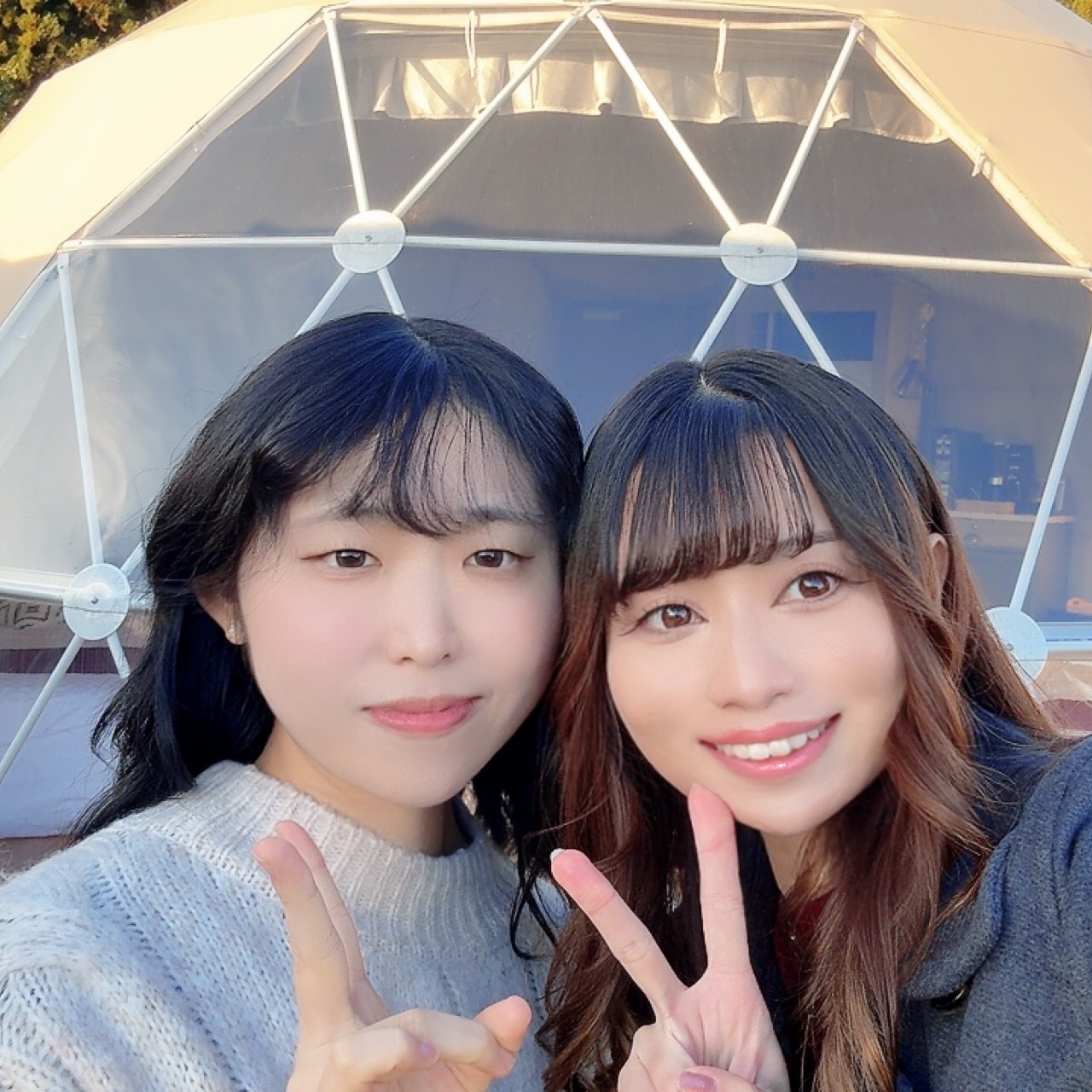 それだけじゃわからん