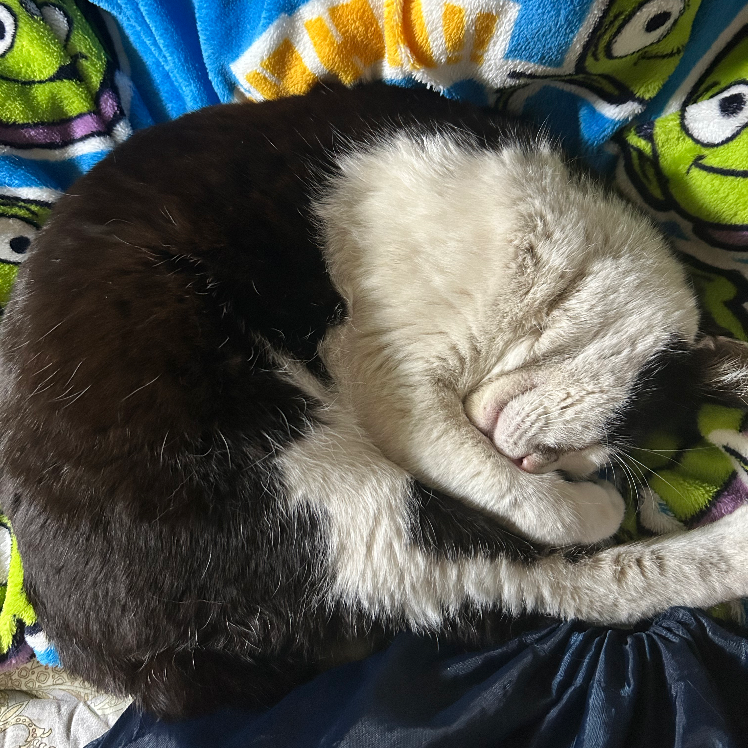 このまま耐える‪🥲‎