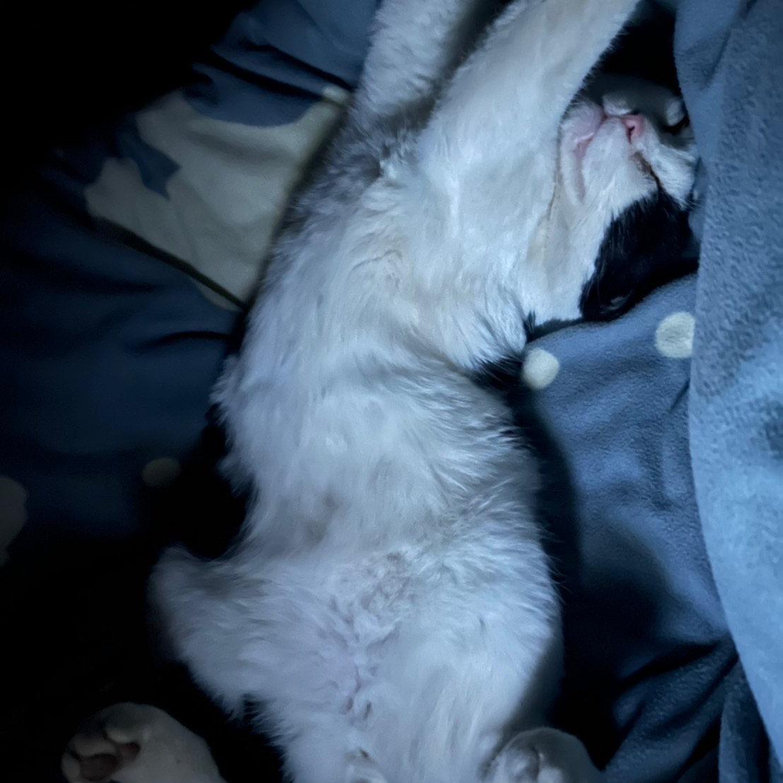 高校やめてフリーター