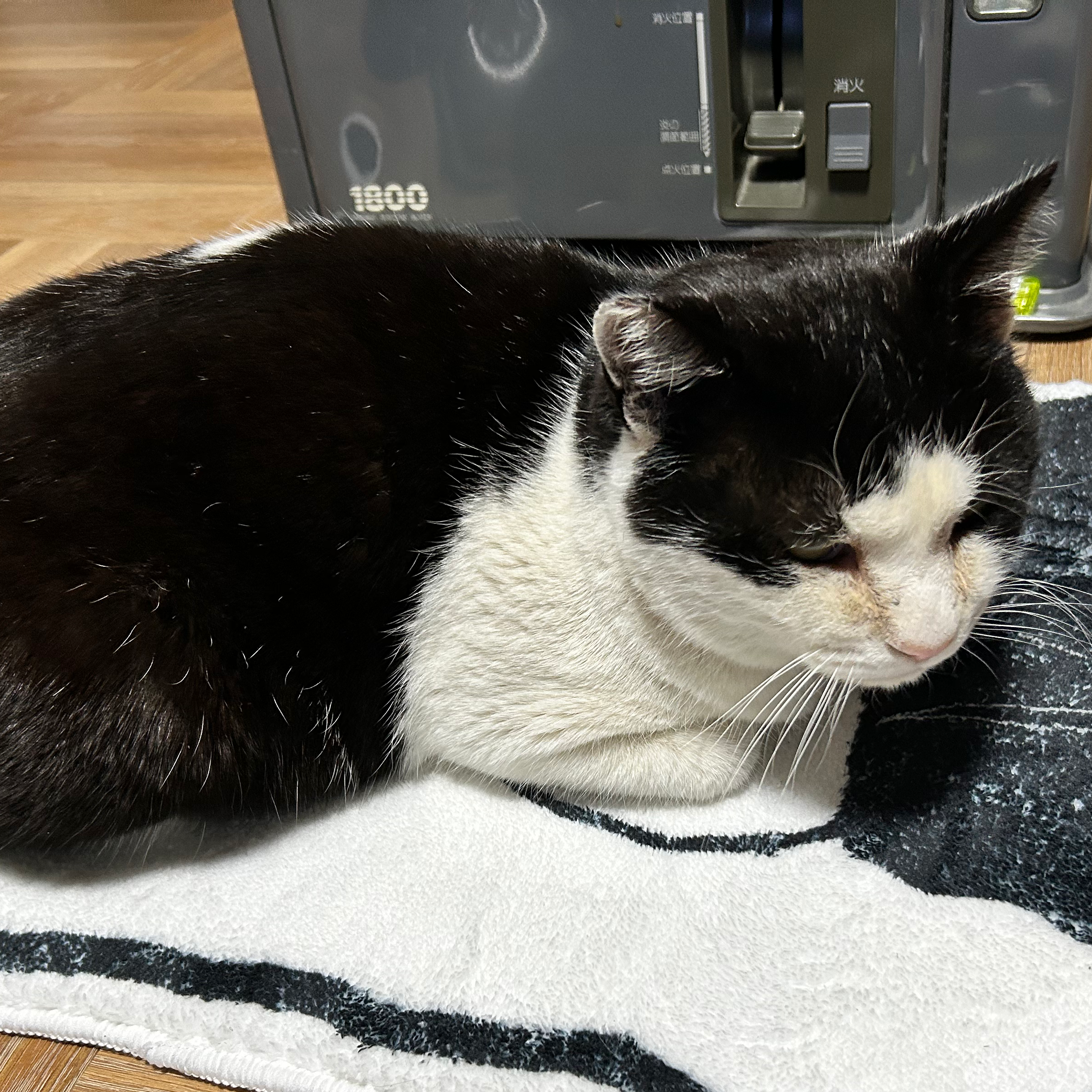 全日やめて通信通いながらバイトこ