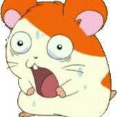 その他コメント