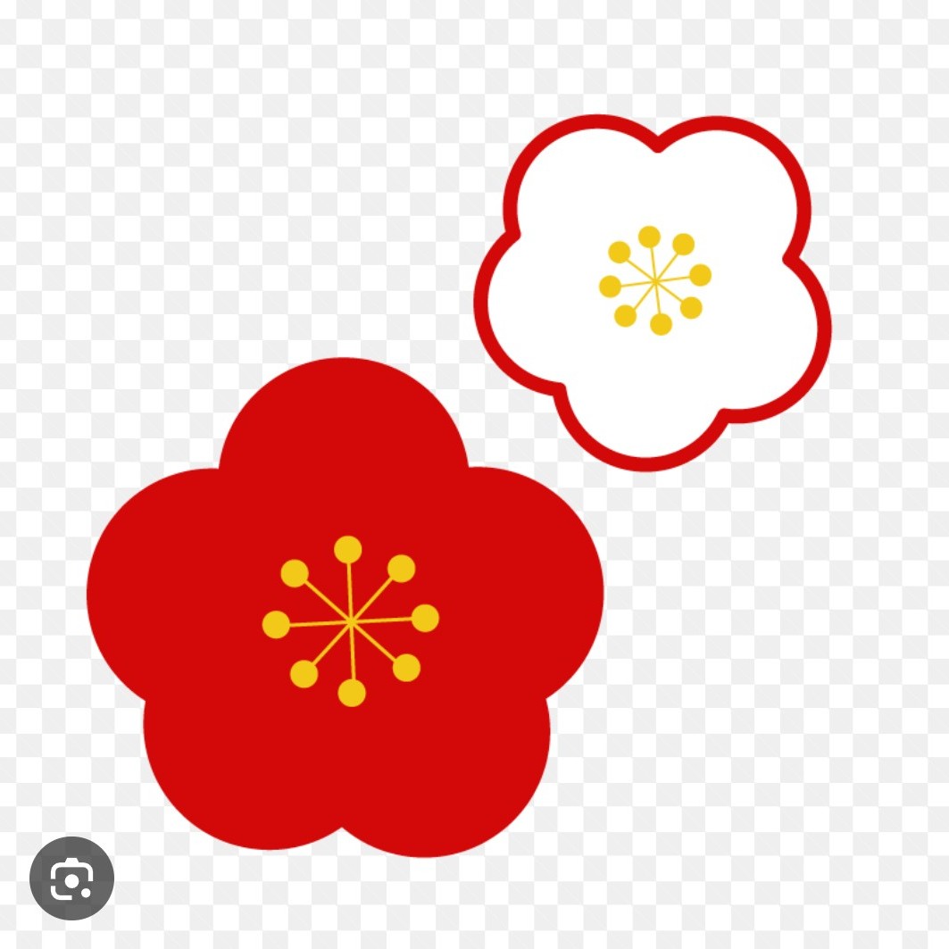 得意分野のお花♪