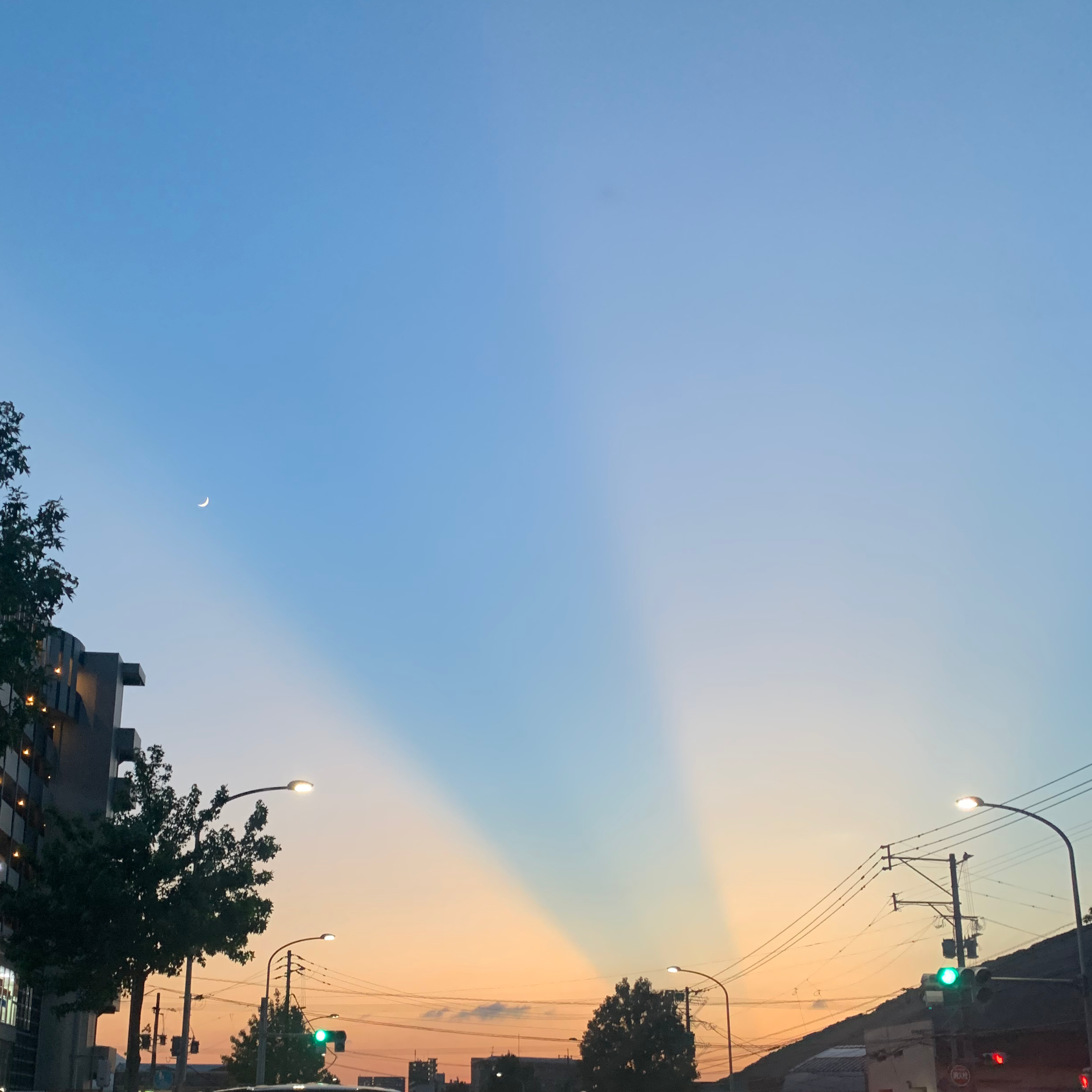 MT取っておいたほうがよくない？