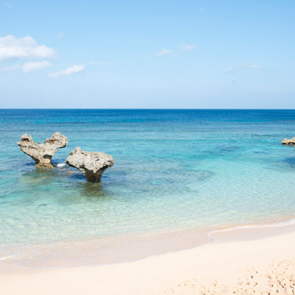 沖縄県🌴🌺✈🍍