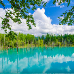 北海道🐮🍦🍜