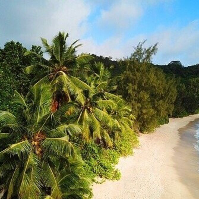 冬の無い夏しかない世界