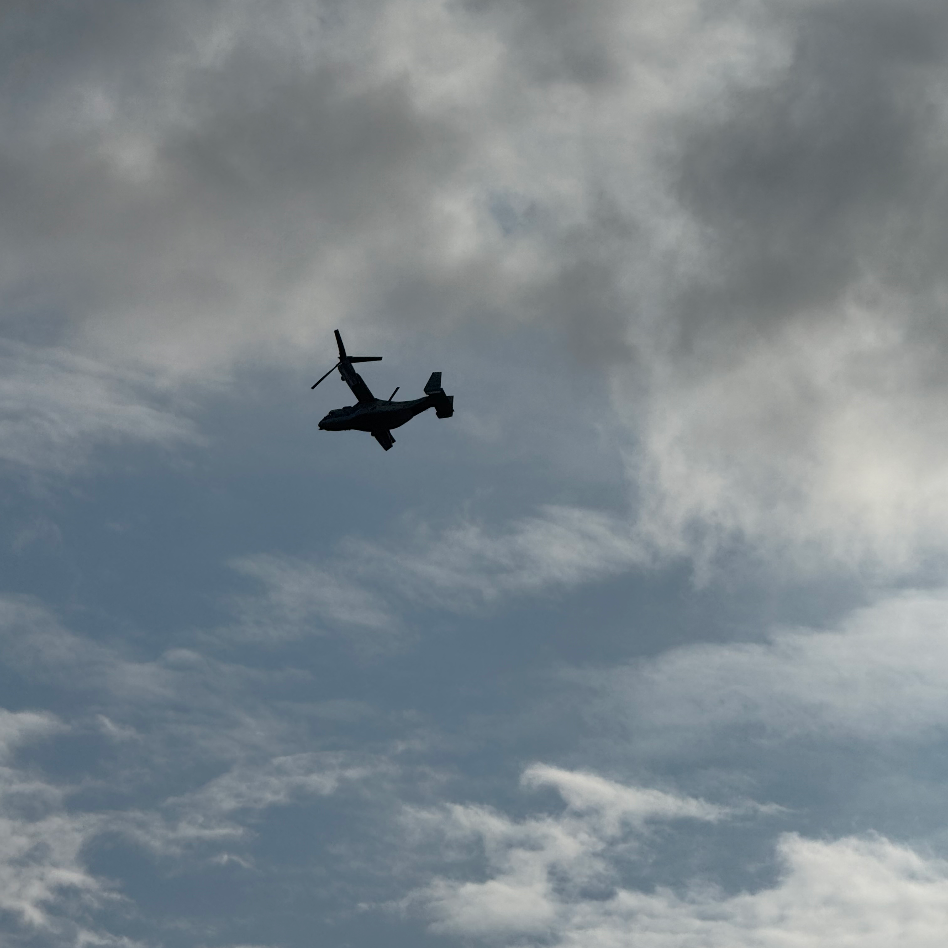 まぁ頑張れや笑