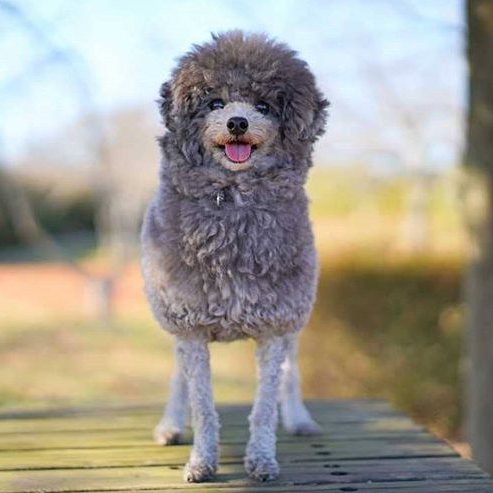 わかんないようにブロ解!