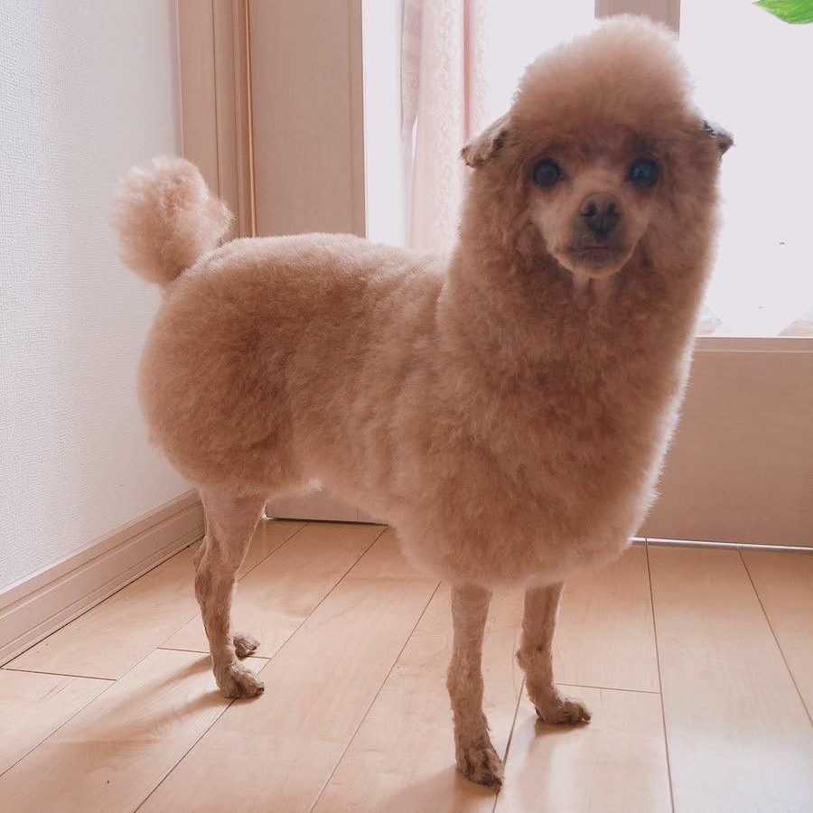 わかるようにフォロー外し!