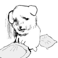 三日坊主になった。