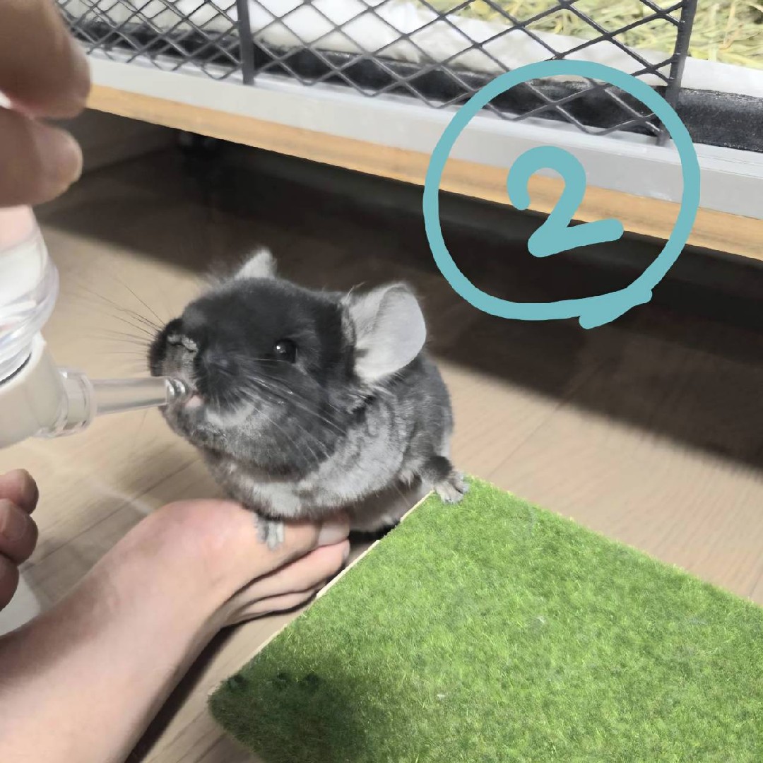 こんにちは赤ちゃん