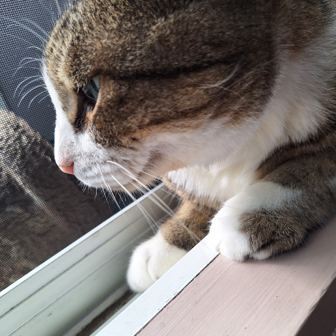 スケジュール手帳以外にも買う？