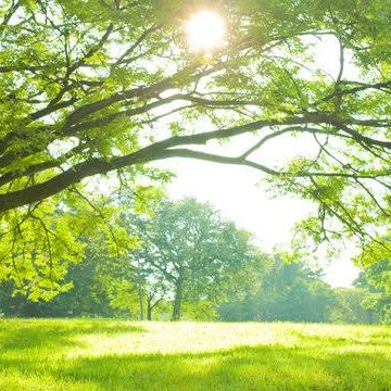 業界・業務内容