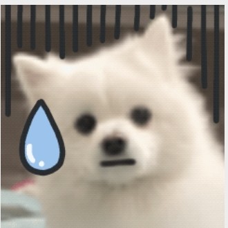 我不喜欢日本人