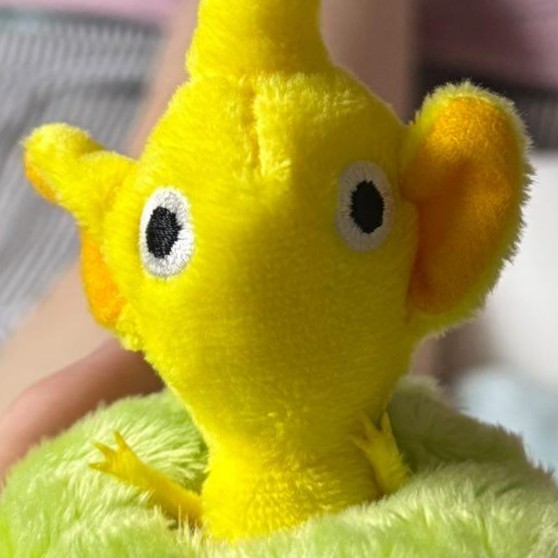 プレゼントどっちでもいい