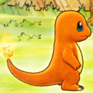 主ヒトカゲ&パートナーピカチュウ