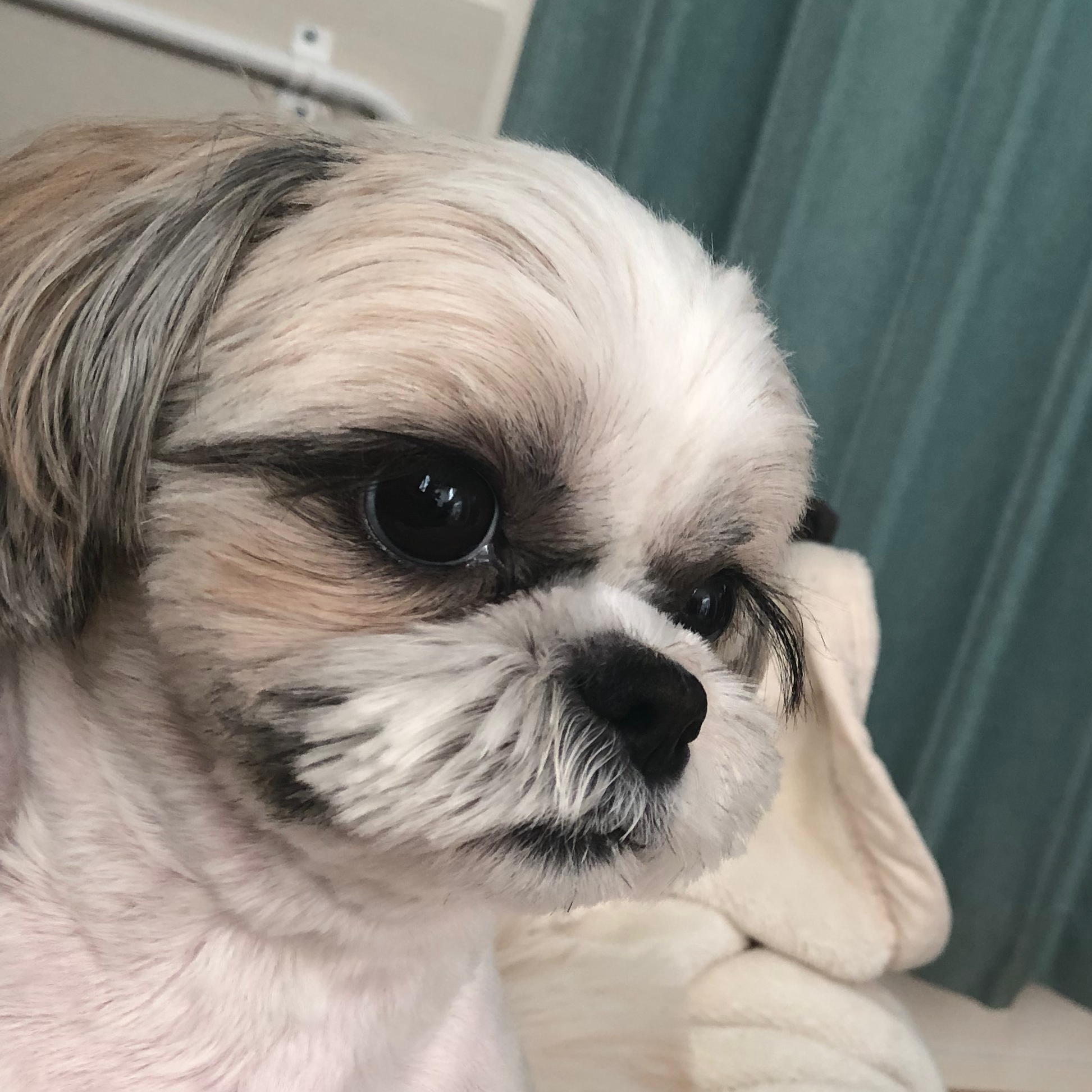 んなもん見たくねぇよ