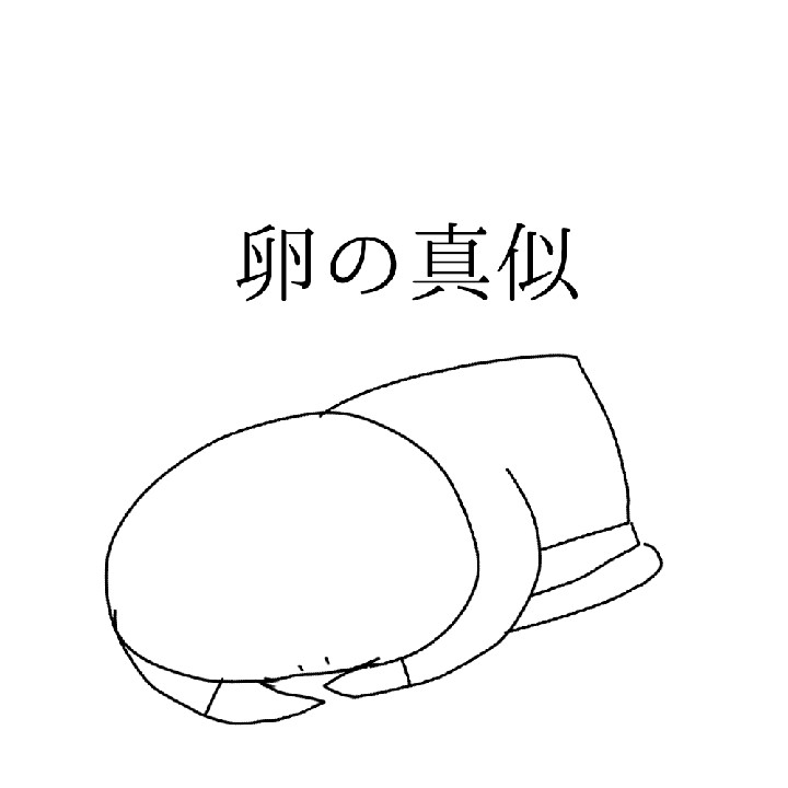 その他　コメ欄へ