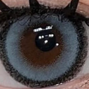 ふちの主張強め