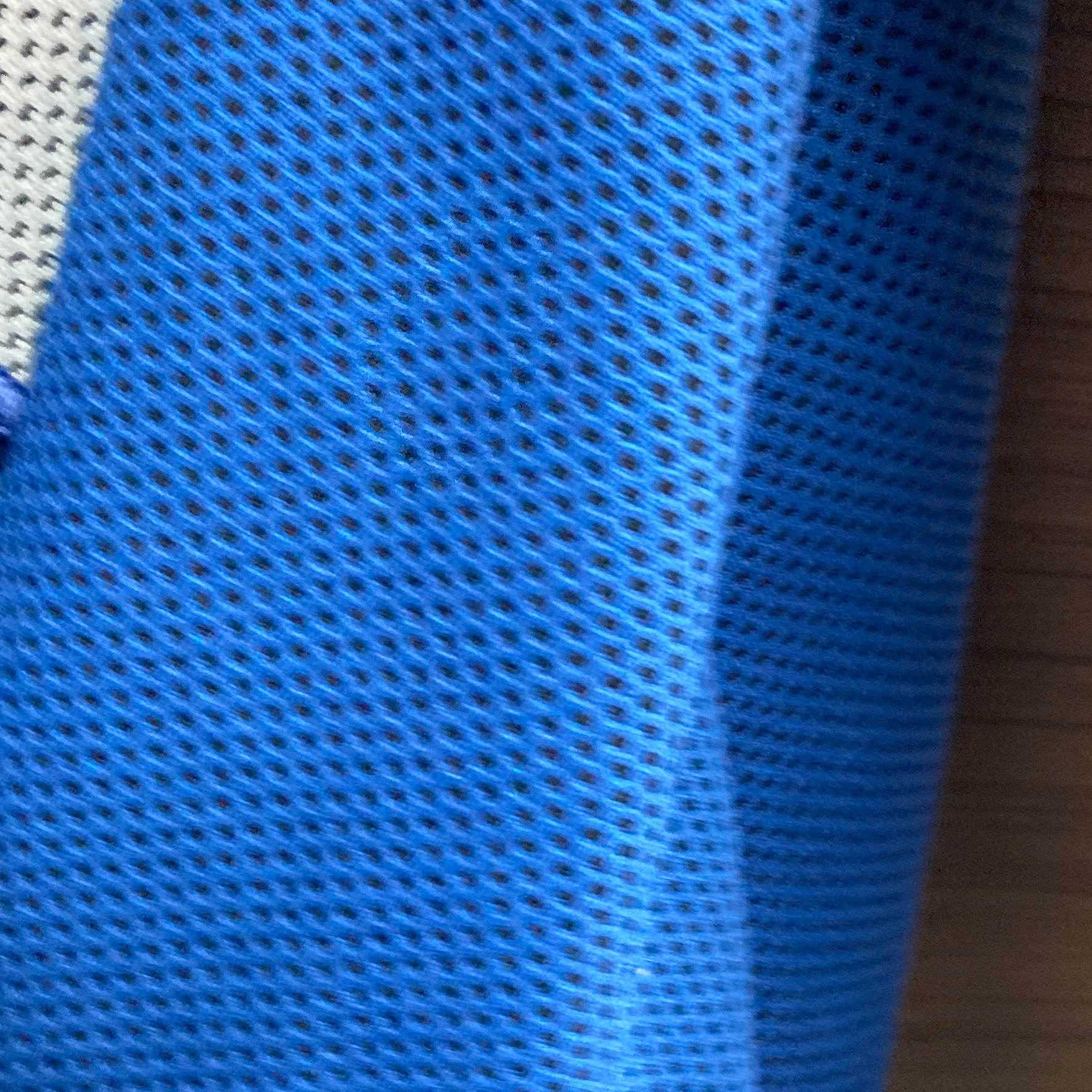 ブルーベリー🫐