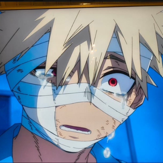 行けない(´；ω；｀)