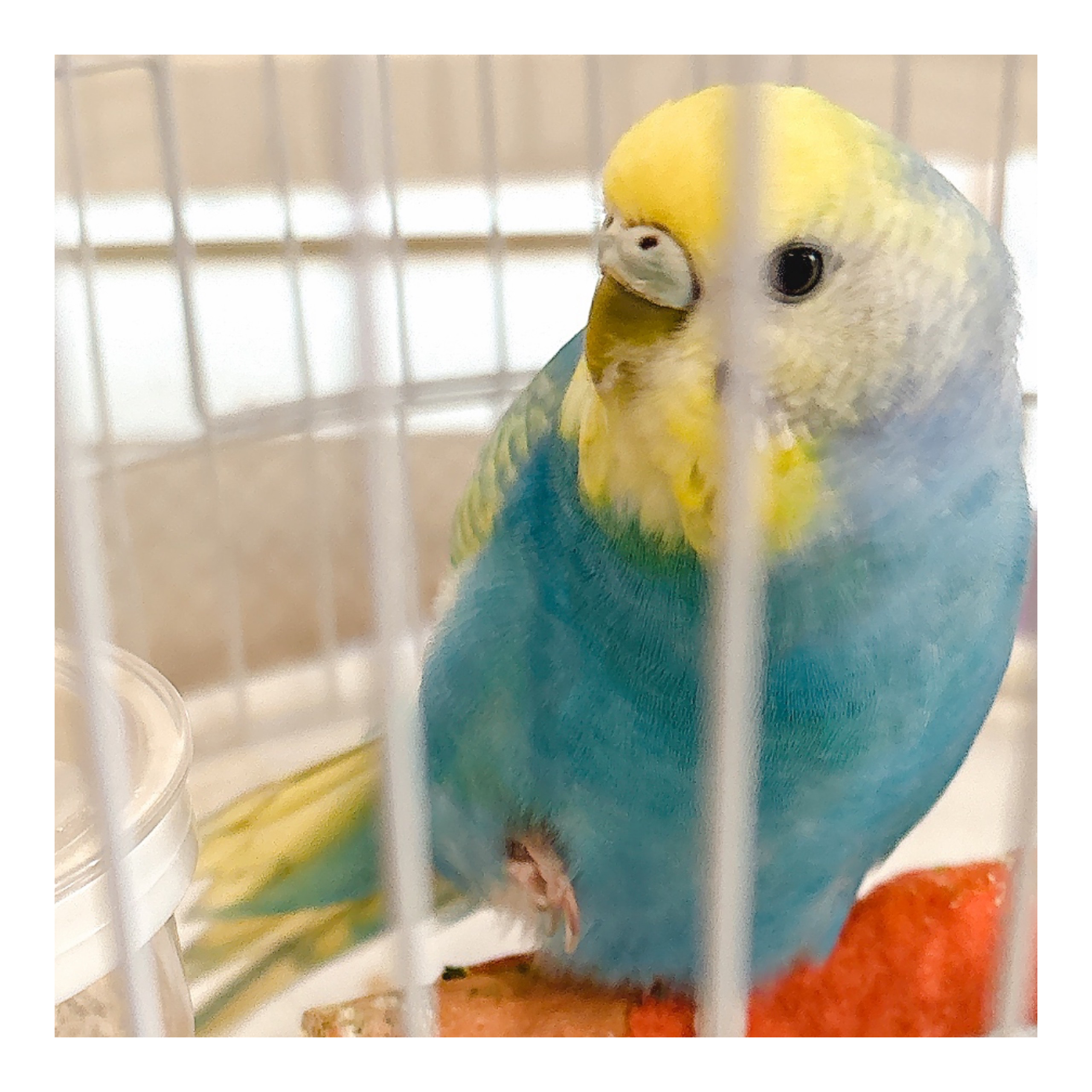 3時間から4時間