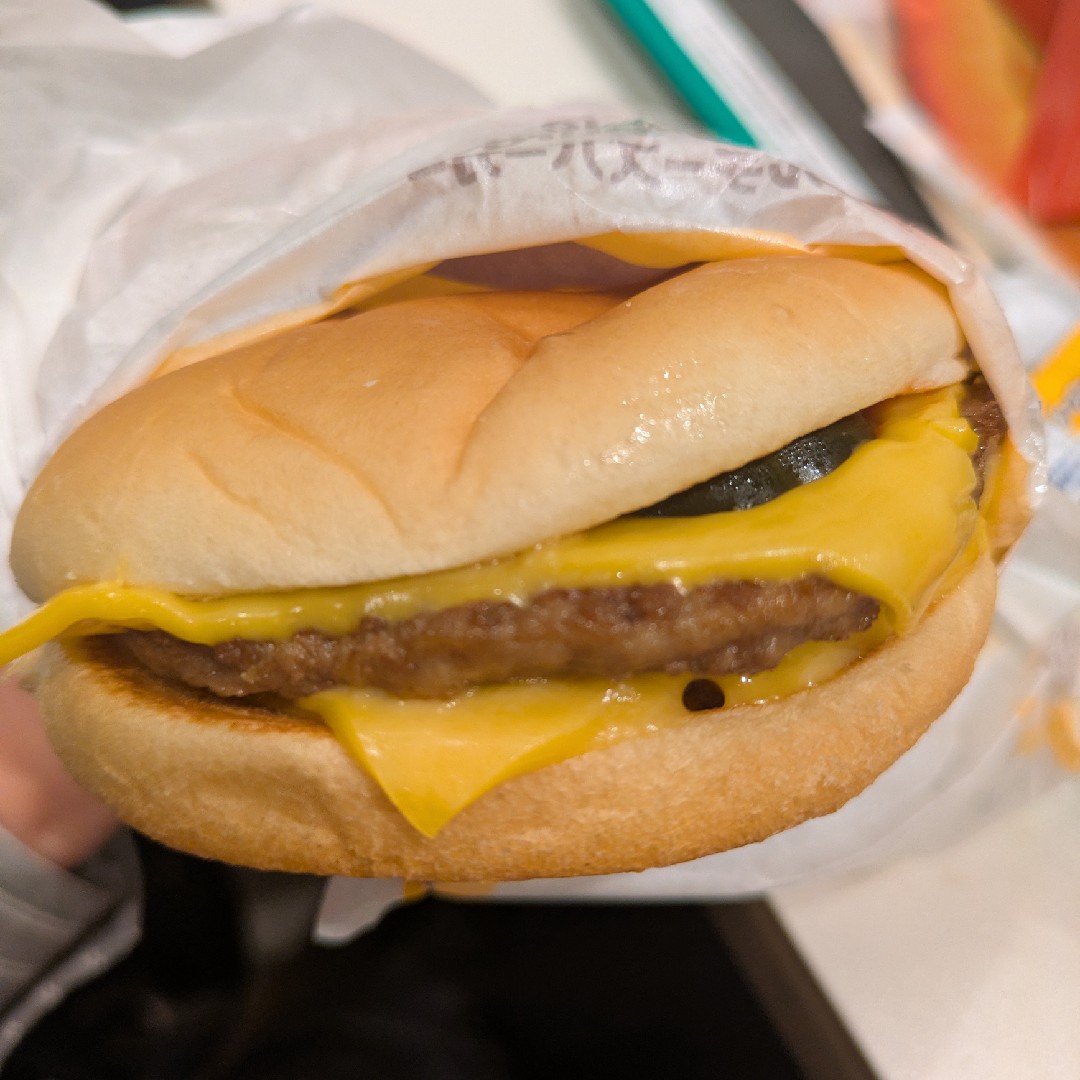 その他（コメント欄へ）