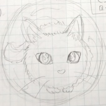 ②上を見上げるねこ