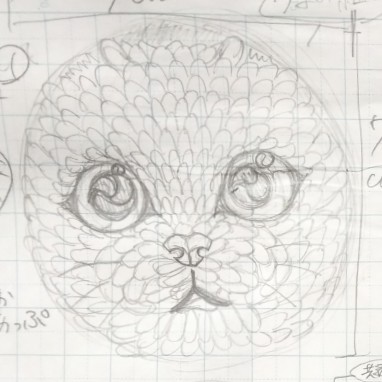 ①顔ドアップねこ