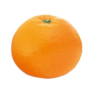 その他(観測用)