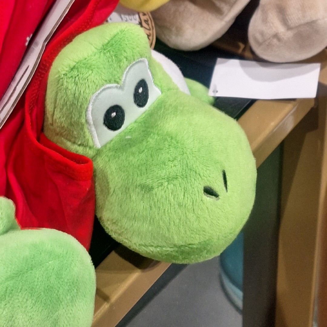 やめとけ！むりだ！