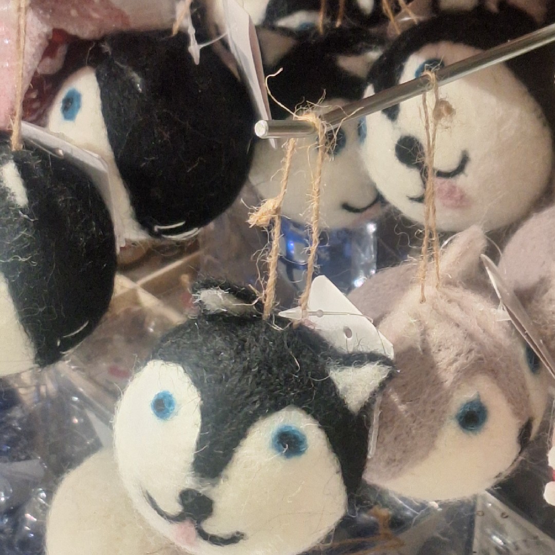 いけ！れっつぱっしょん！