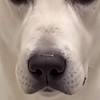 しこたまほじってる