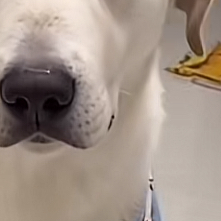 無意識にほじっちゃう