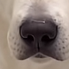 ほじった上で食べちゃう