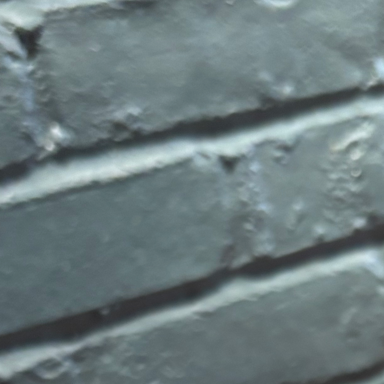 人間の支離滅裂レポート