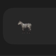 🦓