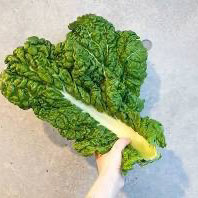 かつお菜入るっちゃん